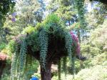 Glacier Gardens